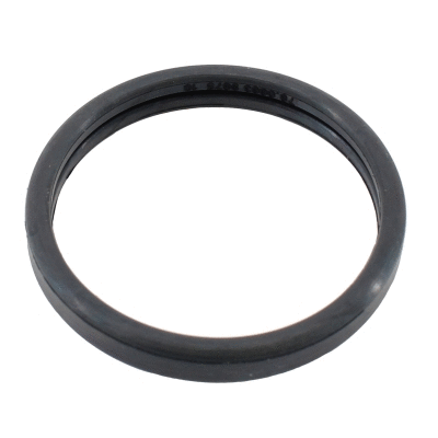 Seal, thermostat (WG2196059)