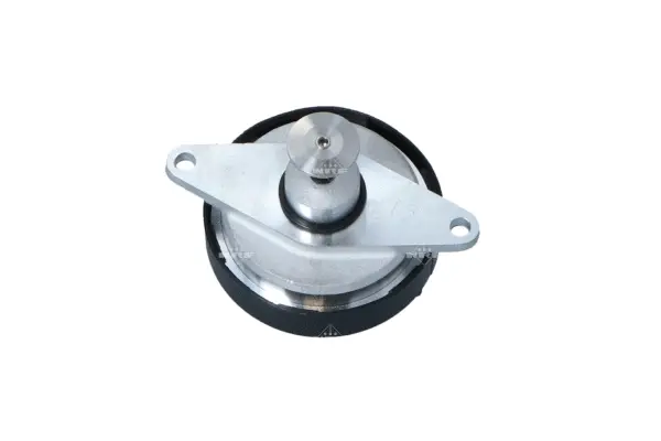 EGR Valve (WG2161871)