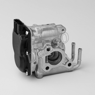 EGR Valve (WG1028874)