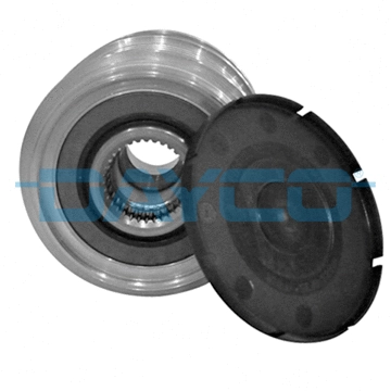 Alternator Freewheel Clutch (WG2004062)