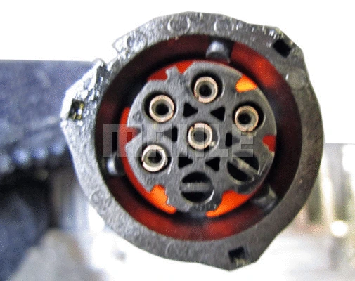 Clutch, radiator fan