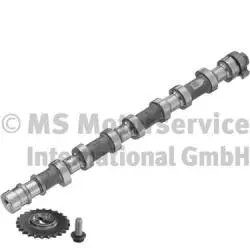 Camshaft (WG1938179)