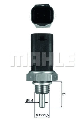 Sensor, coolant temperature (WG1789654)