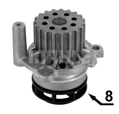 Water Pump, engine cooling (WG2181993)