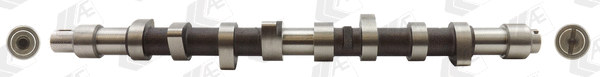 Camshaft (WG1171837)
