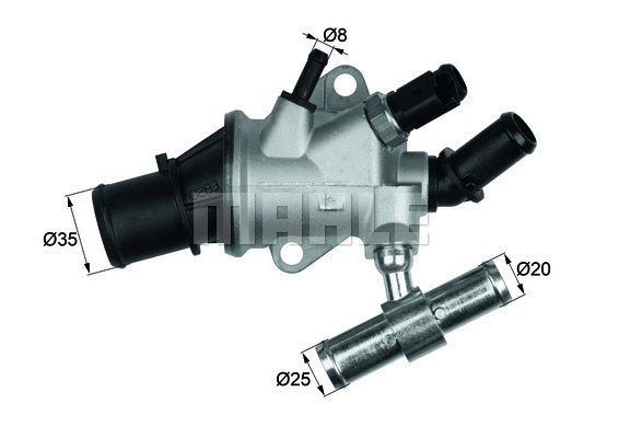 Thermostat, coolant (WG1217606)