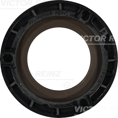 Shaft Seal, crankshaft (WG1155304)