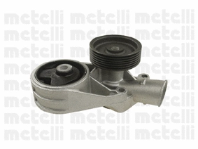 Water Pump, engine cooling (WG1790233)