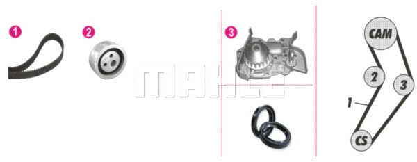 Water Pump & Timing Belt Kit (WG2182153)