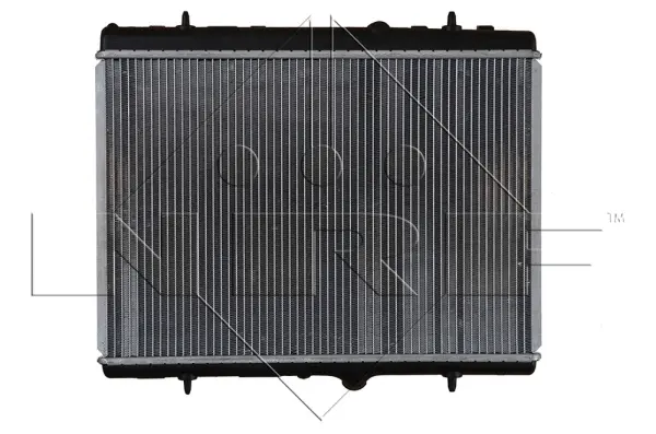 Radiator, engine cooling (WG1721305)