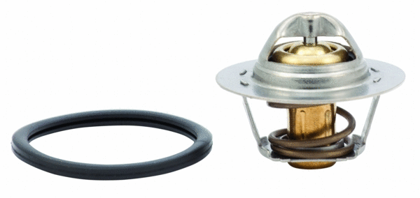 Thermostat, coolant (WG1409220)