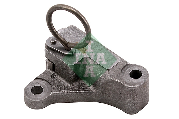 Tensioner, timing chain (WG1966392)