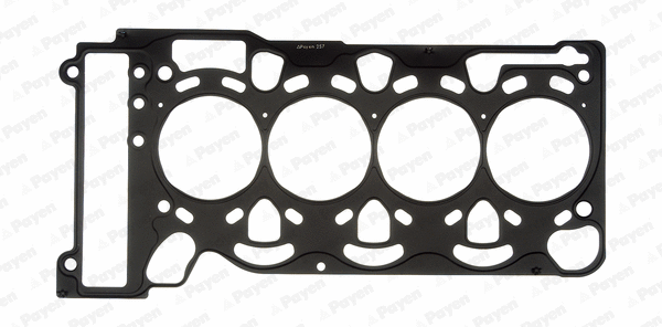 Gasket, cylinder head (WG1177507)