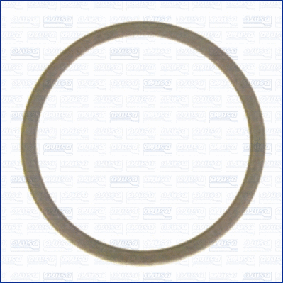 Seal Ring, oil drain plug (WG1452024)