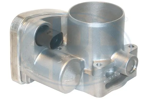 Throttle Body (WG1494949)