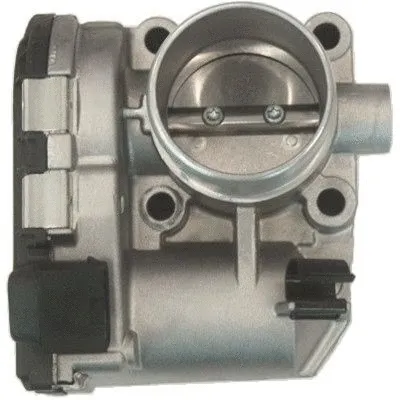 Throttle Body (WG1719784)