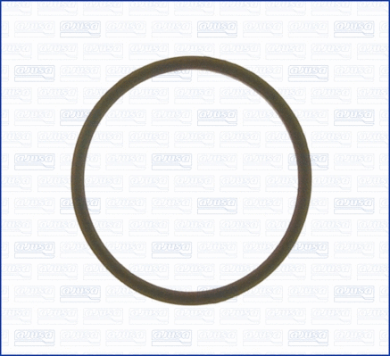 Seal, thermostat (WG1158258)