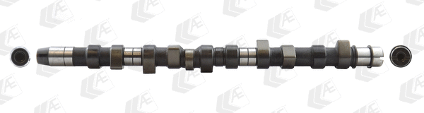 Camshaft (WG1171882)