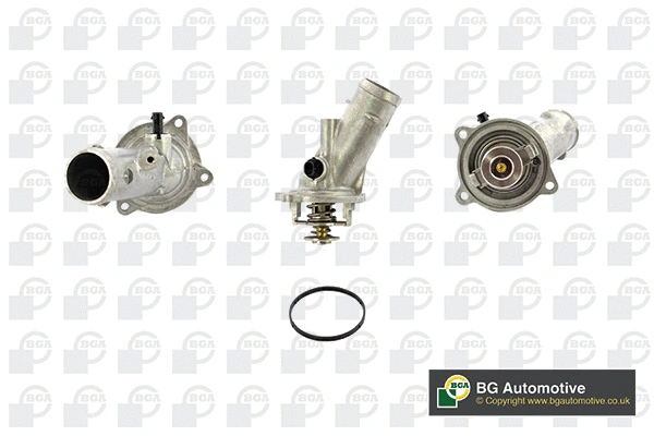 Thermostat, coolant (WG1814376)