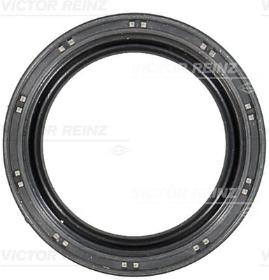 Shaft Seal, crankshaft (WG1791482)