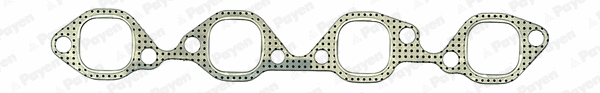 Gasket, exhaust manifold (WG1177067)
