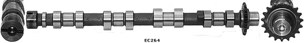 Camshaft (WG1051376)