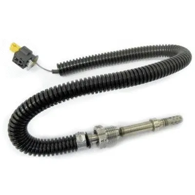 Sensor, exhaust gas temperature (WG1268355)