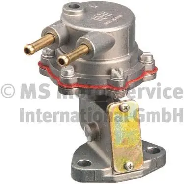 Fuel Pump (WG1025809)