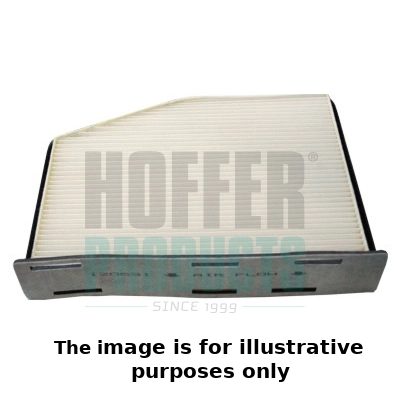 Filter, cabin air (WG1966079)