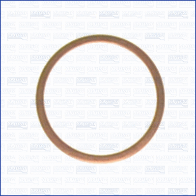 Seal Ring, oil drain plug (WG1451980)