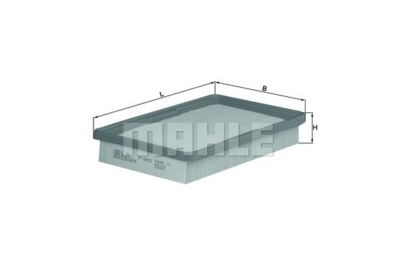 Air Filter (WG1216761)