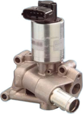 EGR Valve (WG1015224)