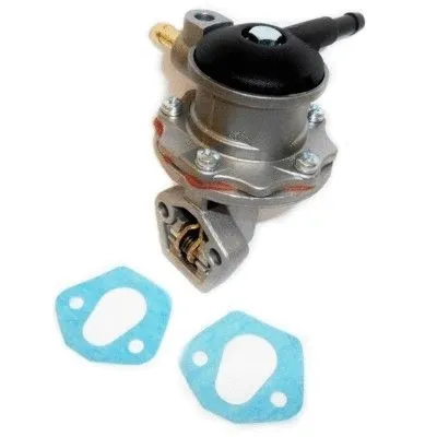Fuel Pump (WG1750050)