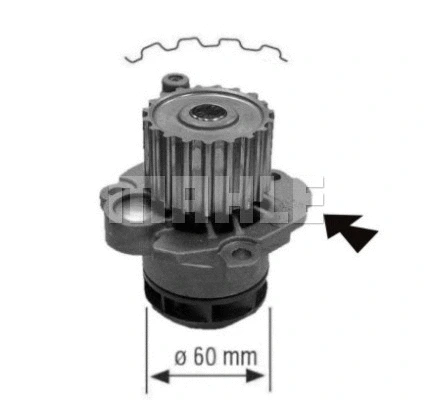 Water Pump, engine cooling (WG2181957)