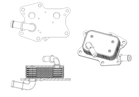 Oil Cooler, engine oil (WG2158890)