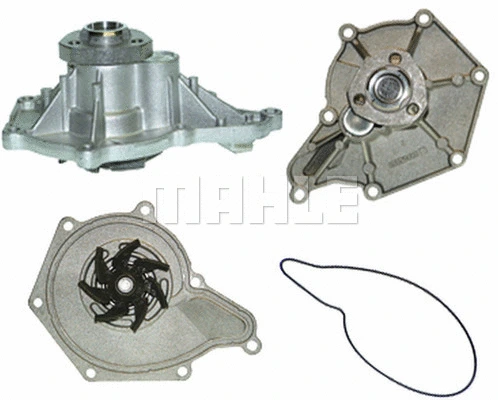 Water Pump, engine cooling (WG2181574)
