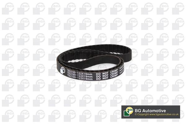 Timing Belt (WG2258630)