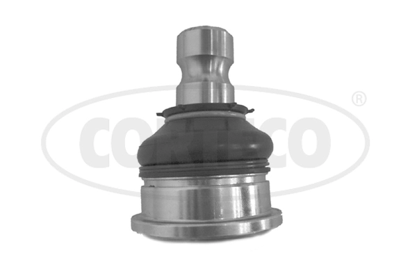 Ball Joint (WG2289853)