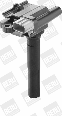 Ignition Coil (WG1487569)