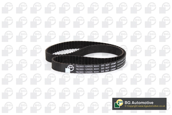 Timing Belt (WG2258615)