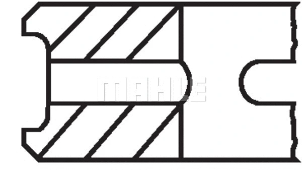 Piston Ring Kit (WG1213876)