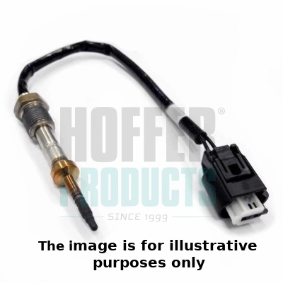 Sensor, exhaust gas temperature (WG1978122)