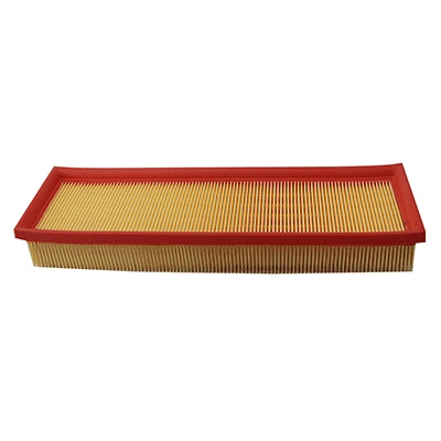 Air Filter (WG2152035)