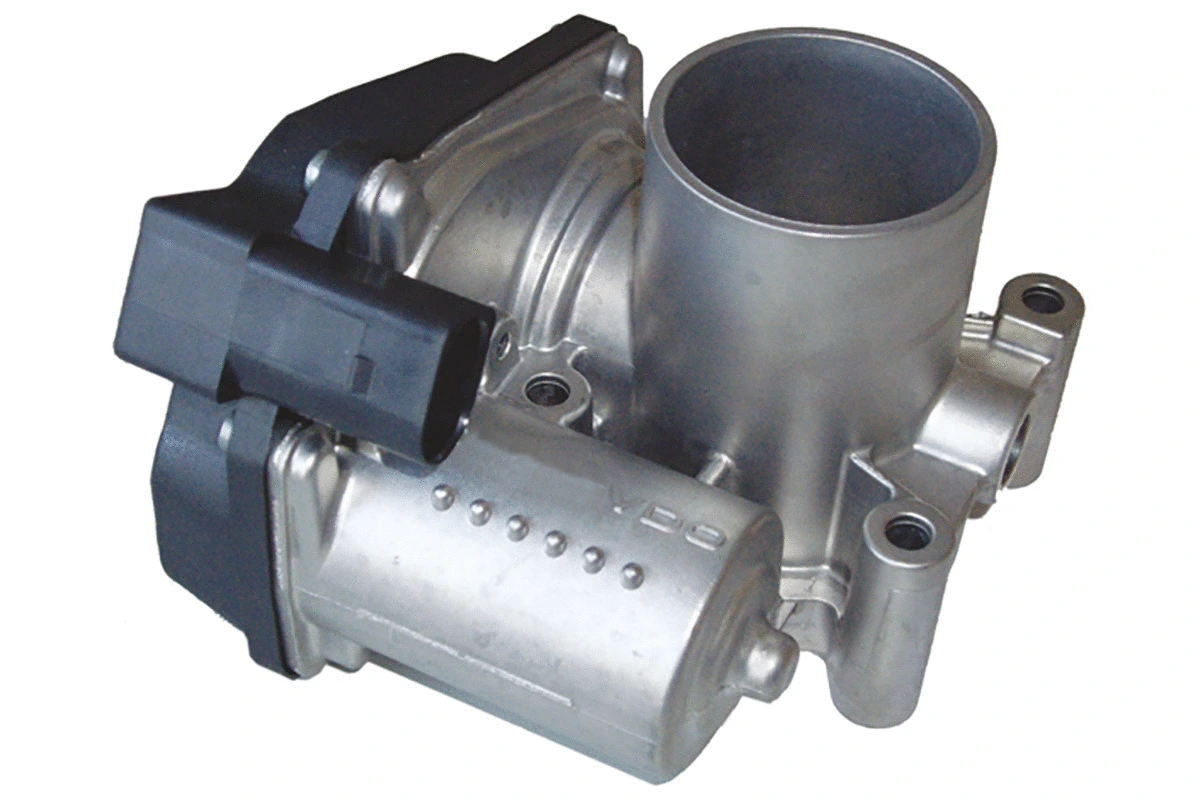 Throttle Body (WG1032738)