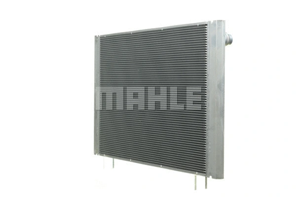Radiator, engine cooling (WG2182275)
