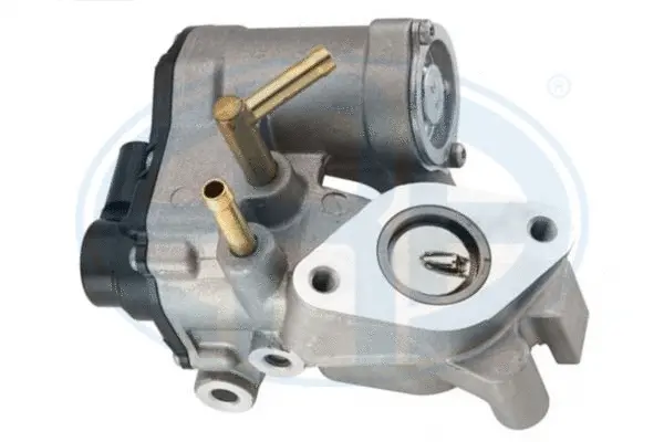 EGR Valve (WG2015785)