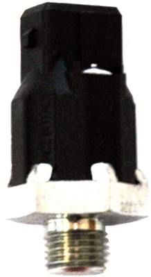 Knock Sensor (WG1408415)