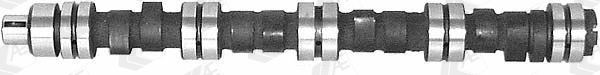 Camshaft (WG1093047)