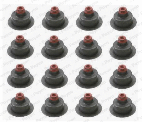 Seal Set, valve stem (WG1091032)