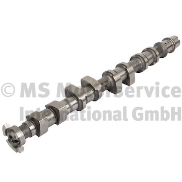 Camshaft (WG2224549)
